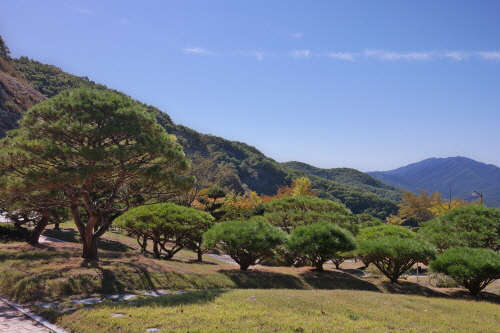 (사진제공=별그리다)